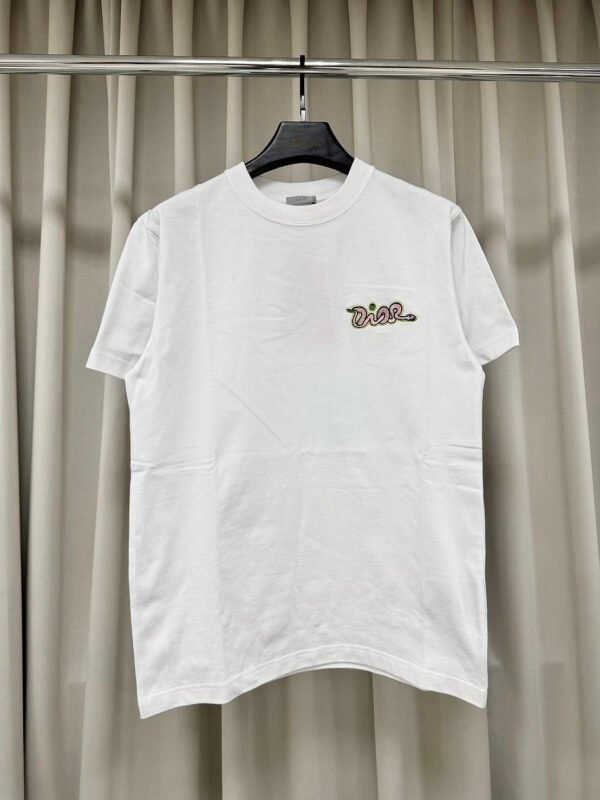 DIOR x Kaws聯名 刺繡字母 短袖